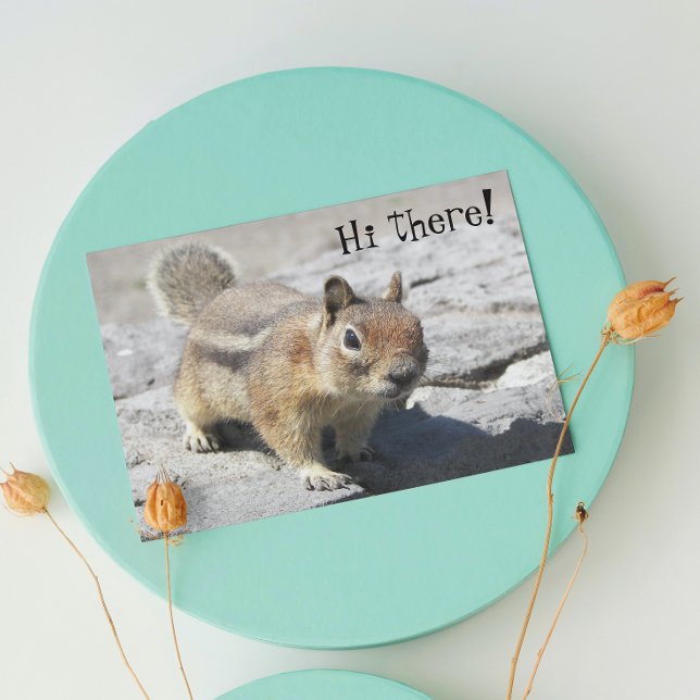 Cute Ground Squirrel Wildlife Birthday Card (In Situ)