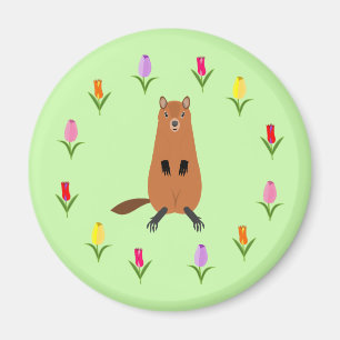 Cute Groundhog and Tulip Flowers Magnet