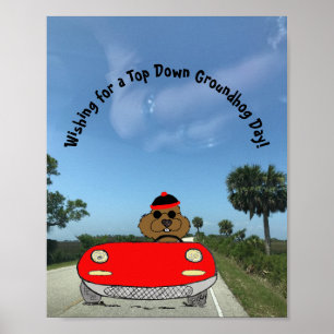 Cute Groundhog in Convertible Poster
