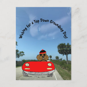 Cute Groundhog in Red Convertible Holiday Postcard