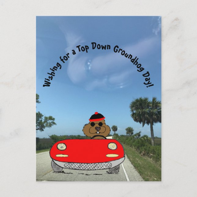 Cute Groundhog in Red Convertible Holiday Postcard (Front)