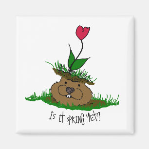 Cute Groundhog Looking for Spring Magnet