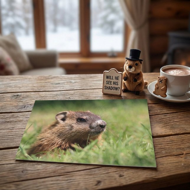 Cute Groundhog Peeking Green Grass Photo Postcard (Creator Uploaded)