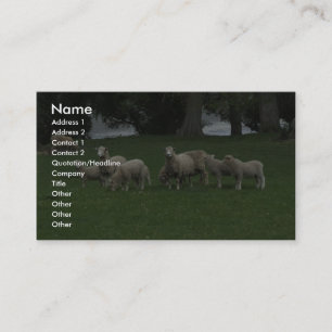 Cute Group Of Sheep Eating Grass Business Card