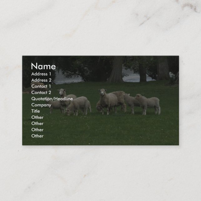 Cute Group Of Sheep Eating Grass Business Card (Front)