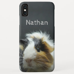 iphone xs max case guinea pig iphone xs max case guinea pig