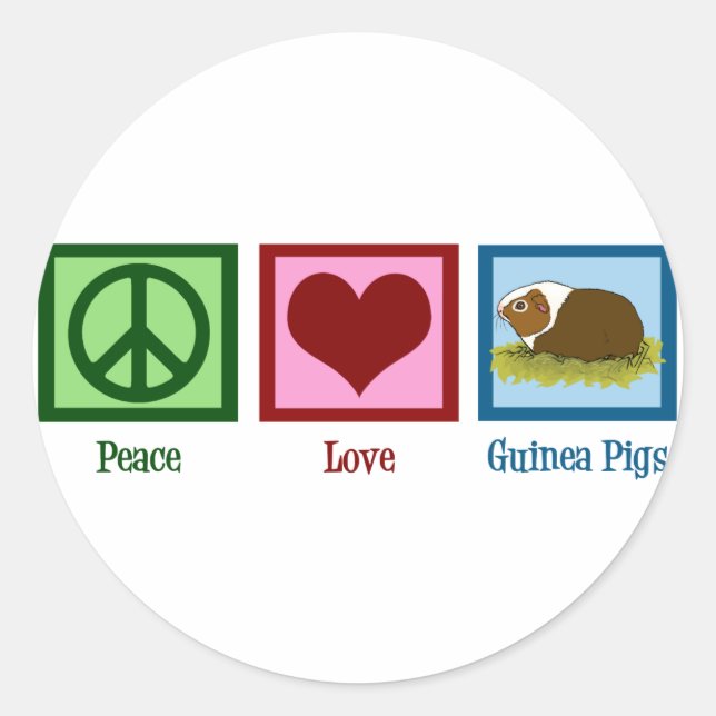 Cute Guinea Pig Classic Round Sticker (Front)