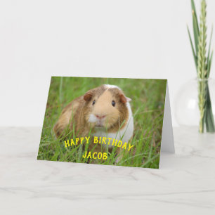 Cute Guinea Pig Custom Name Birthday Gift Animal Holiday Card