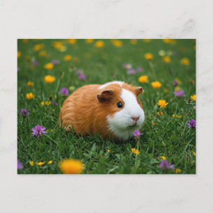 Cute Guinea Pig Flower Grass Nature Cavia Postcard