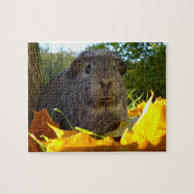 Cute Guinea Pig in Nature Jigsaw Puzzle (Horizontal)