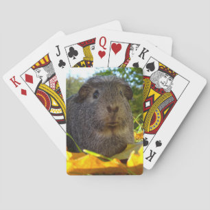 Cute Guinea Pig in Nature Playing Cards