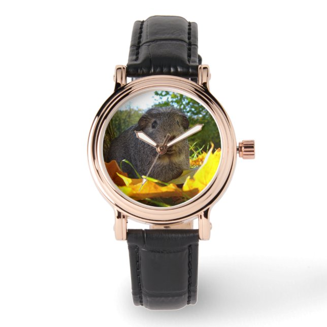 Cute Guinea Pig in Nature Watch (Front)