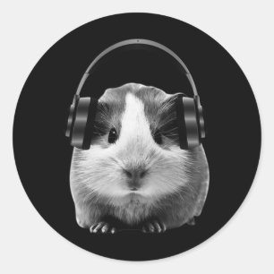 Cute Guinea Pig Listening To Dubstep  Classic Round Sticker