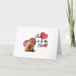 Cute Guinea Pig Love  Hearts Valentine's Day Card