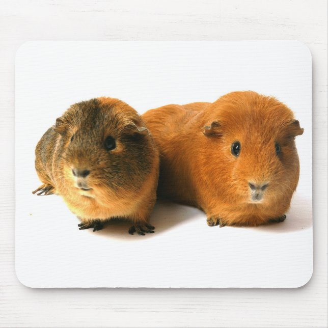 cute guinea pig mouse mat (Front)