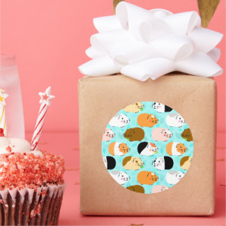 Cute Guinea Pig Pattern Classic Round Sticker