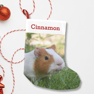 Cute Guinea Pig Pet Photo and Name Personalised Small Christmas Stocking