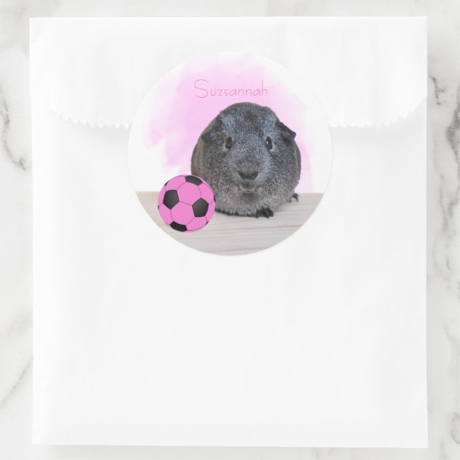 Cute Guinea Pig Pink Soccer Ball Custom Name Classic Round Sticker (Bag)