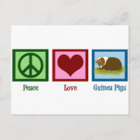 Cute Guinea Pig