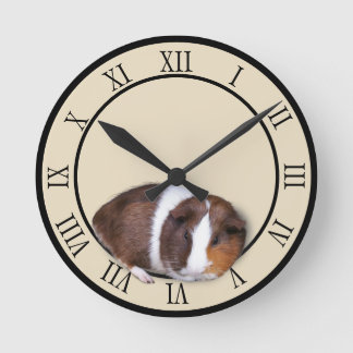 Cute Guinea Pig  Round Clock