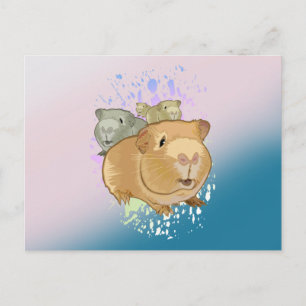 Cute Guinea Pig Trio Pink Blue Gradient Postcard