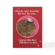 Cute Guinea Pig Valentines Day