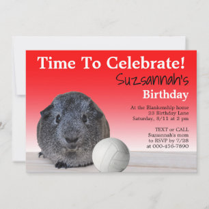 Cute Guinea Pig Volleyball Custom Birthday Party   Invitation