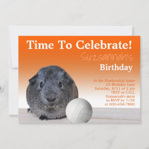 Cute Guinea Pig Volleyball Custom Birthday Party   Invitation