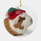 Cute Guinea Pig With Christmas Hat On White