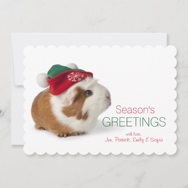 Cute Guinea Pig With Christmas Hat On White Holiday Card (Front)