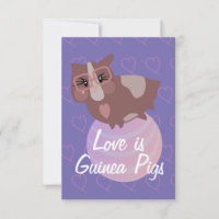 Cute Guinea Pigs Exercising