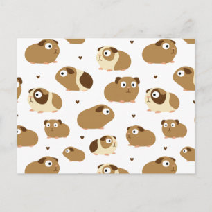 Cute Guinea Pigs Postcard