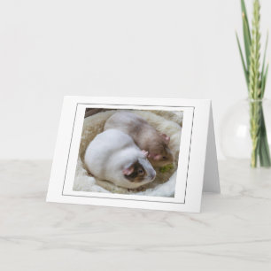 Cute Guinea pigs view greeting card