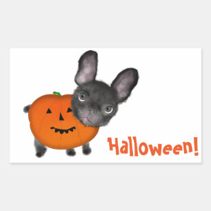 Cute Halloween Bulldog Rectangle Stickers, Glossy Rectangular Sticker