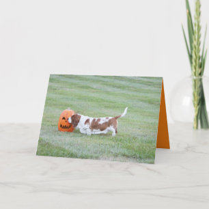 Cute Halloween Card W/Funny Basset Hound & Pumpkin