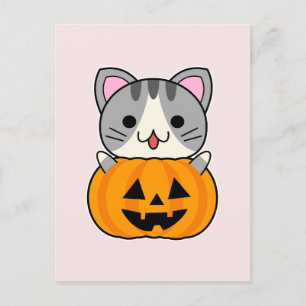 Cute Halloween Cat in Jack o Lantern Postcard