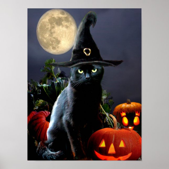 Cute Halloween cat poster (Front)