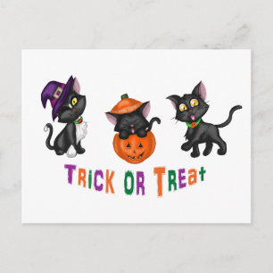 Cute Halloween Cats Postcard