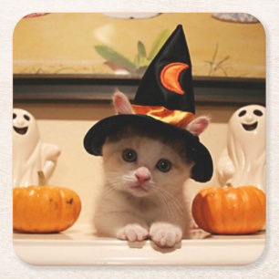 Cute Halloween Kitten Pattern Design Square Paper Coaster