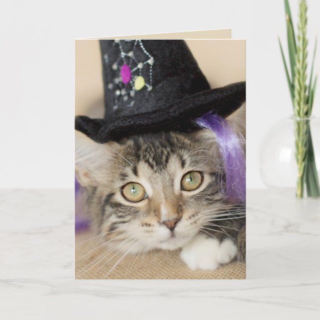 Cute Halloween Kitten Witch Card (Front)