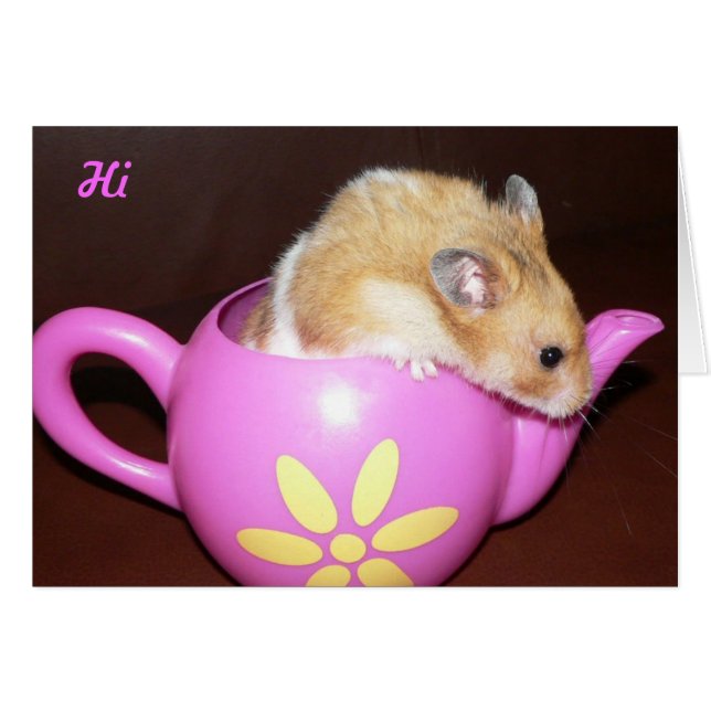 Cute Hamster (Front Horizontal)