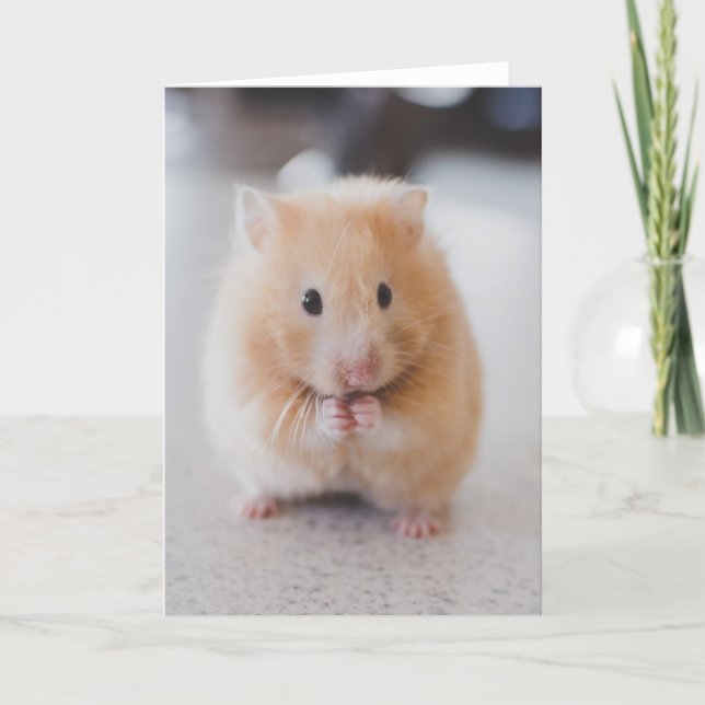 Cute hamster card (Front)