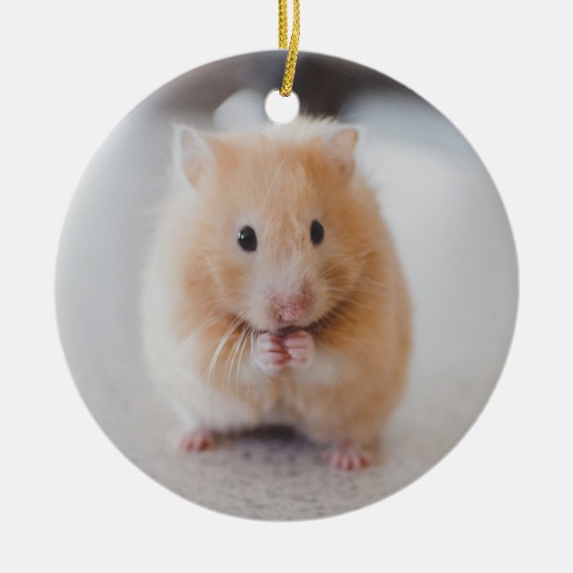 Cute hamster ceramic tree decoration (Front)