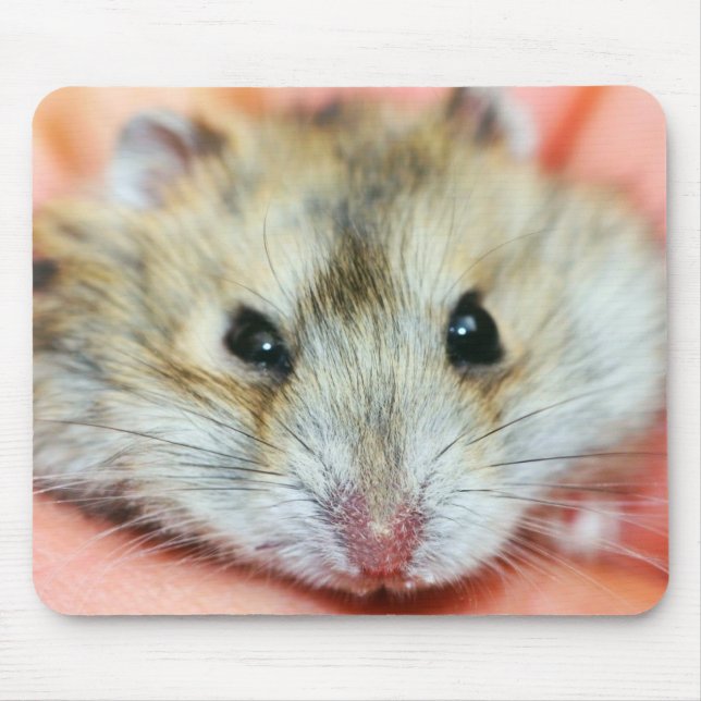 Cute Hamster Face 2 Mouse Mat (Front)