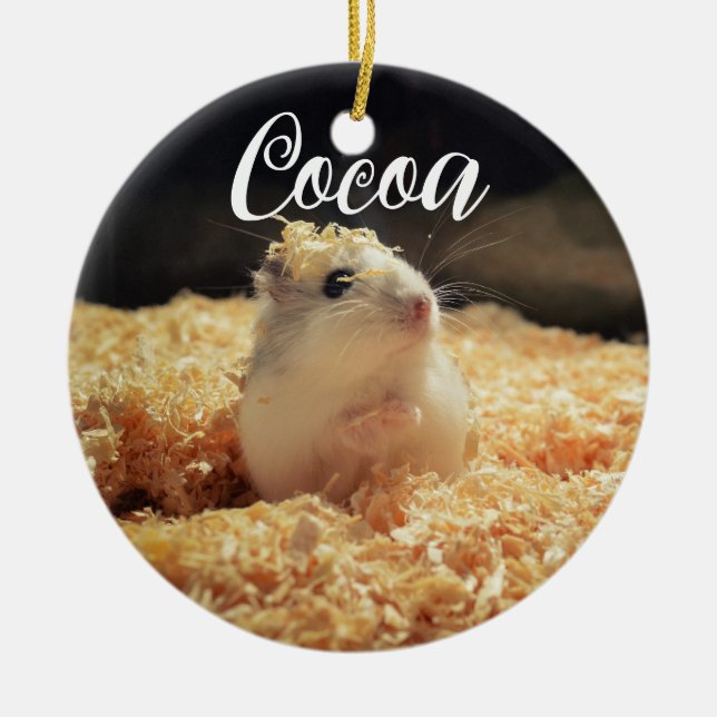Cute Hamster Gift For Hamster Lovers Ceramic Tree Decoration (Front)
