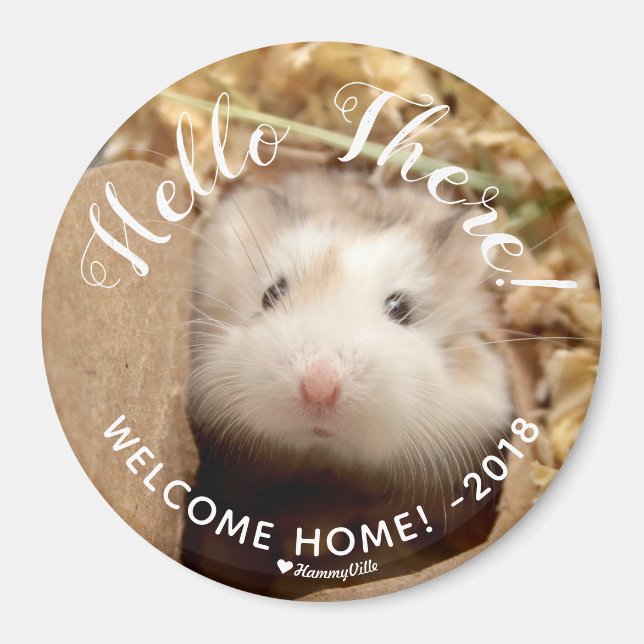 Cute Hamster Hello There Welcome Home Magnet (Front)