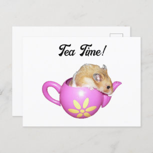 Cute Hamster in a Pink Teapot Fun Pet Photo Postcard