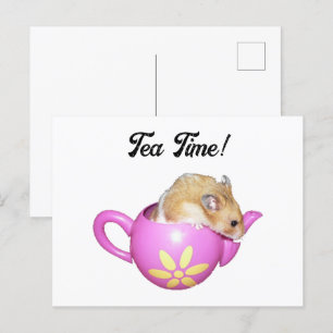 Cute Hamster in Pink Teapot with Daisy Photo Postcard