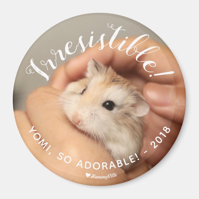 Cute Hamster Irresistible Magnet (Front)