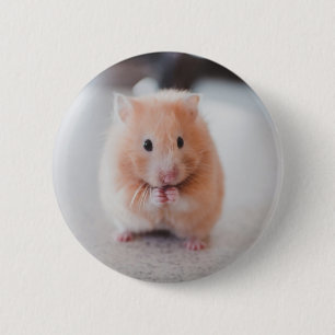 Cute Hamster Love Animals 6 Cm Round Badge